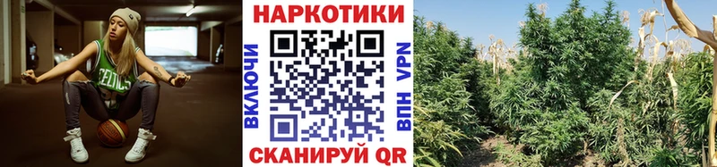 Как найти наркотики Навашино КЕТАМИН  Псилоцибиновые грибы  mega   АМФЕТАМИН  COCAIN  Меф 