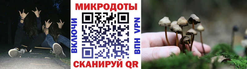 Галлюциногенные грибы Magic Shrooms  Навашино 